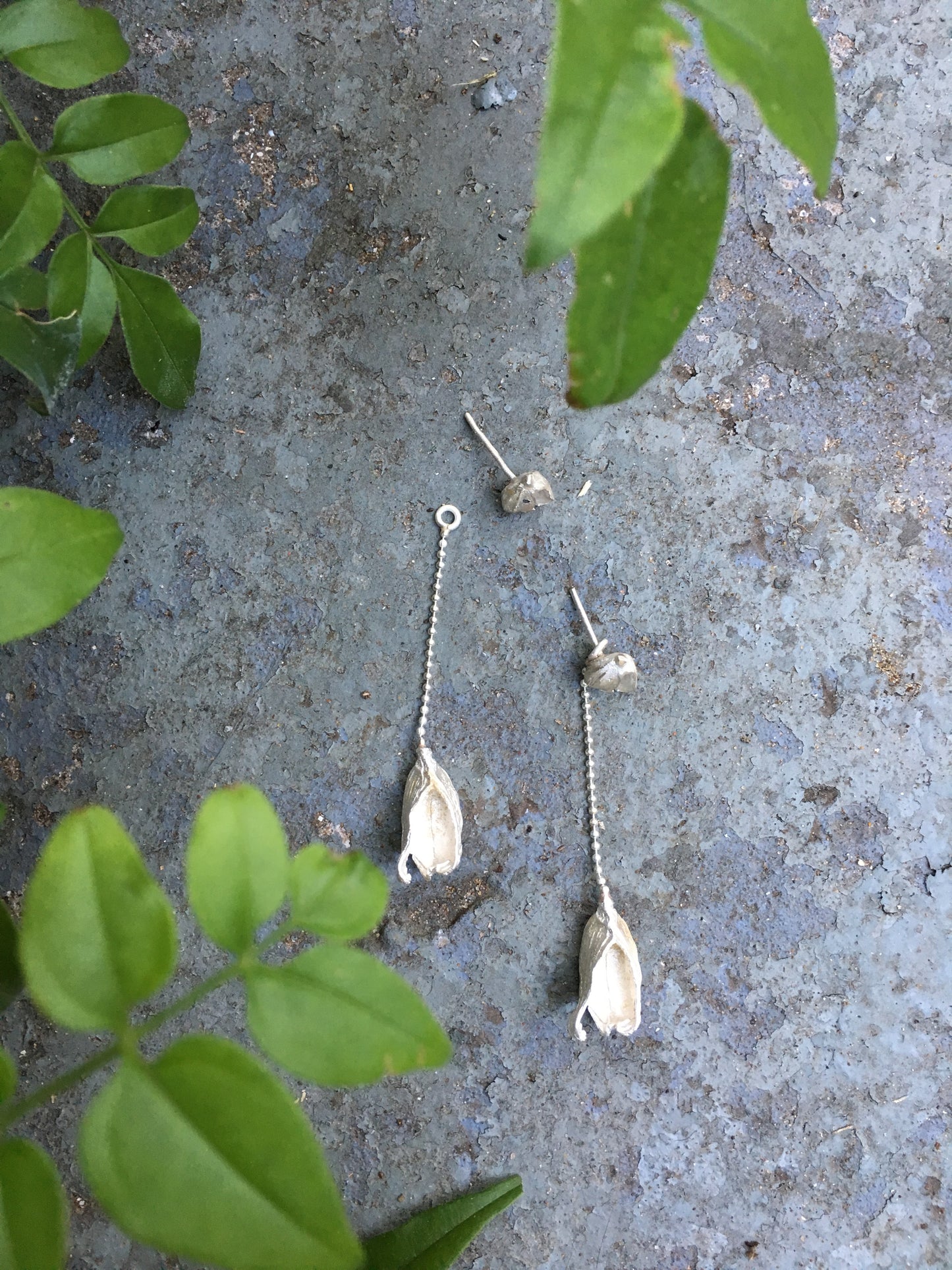 CARDAMOM TWO IN ONE EARRINGS