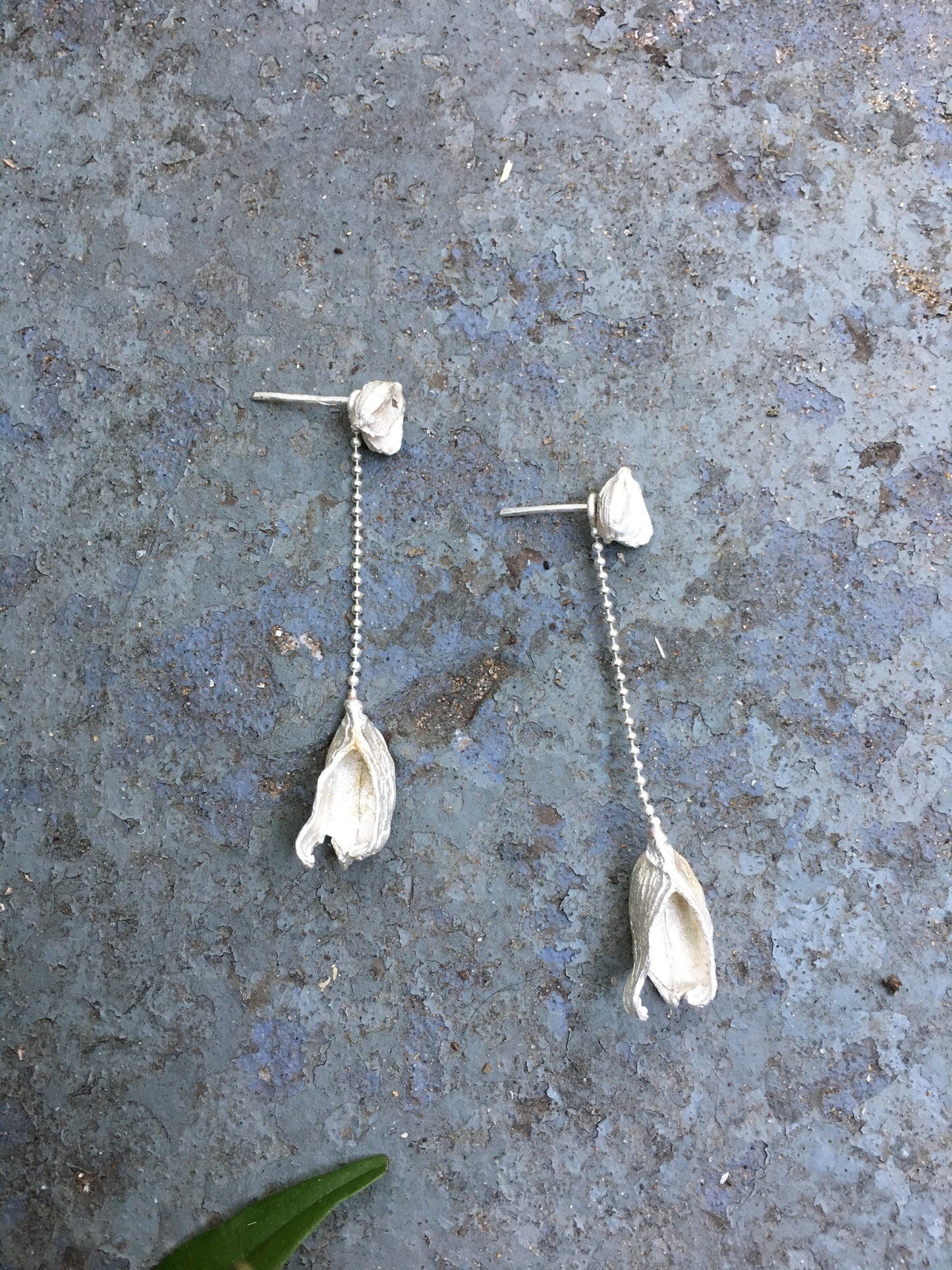 cardamom short-long errings